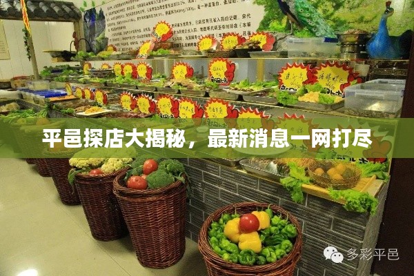 平邑探店大揭秘，最新消息一网打尽