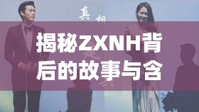 揭秘ZXNH背后的故事与含义，百度带你探寻真相！