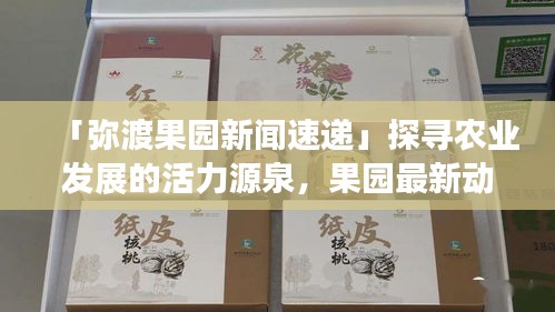 「弥渡果园新闻速递」探寻农业发展的活力源泉，果园最新动态一网打尽！