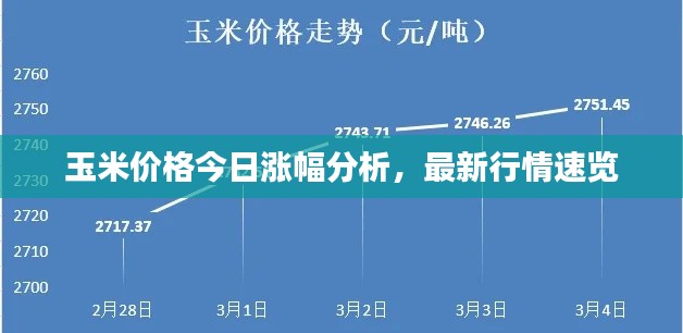 玉米价格今日涨幅分析，最新行情速览