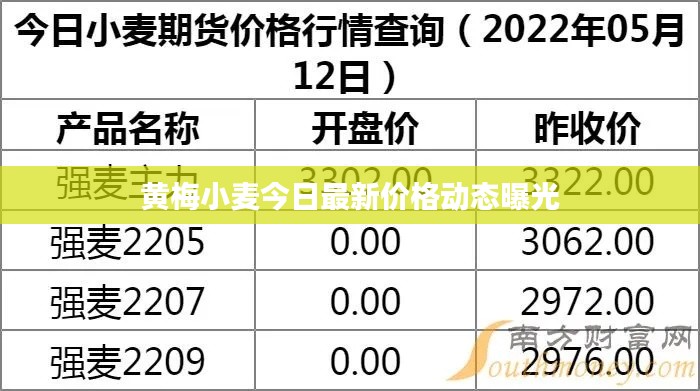 黄梅小麦今日最新价格动态曝光