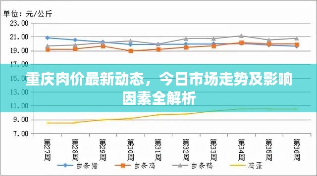 重庆肉价最新动态，今日市场走势及影响因素全解析