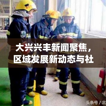 大兴兴丰新闻聚焦，区域发展新动态与社会热点一网打尽