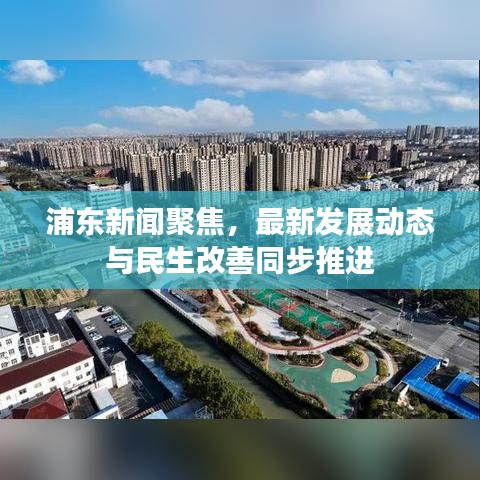 浦东新闻聚焦，最新发展动态与民生改善同步推进