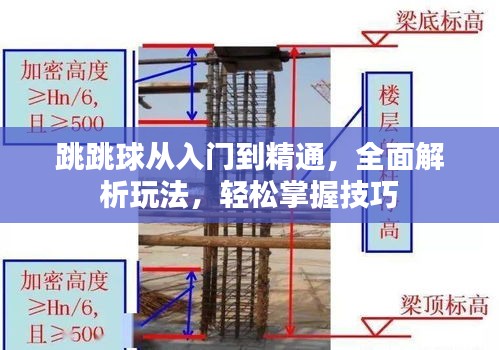 跳跳球从入门到精通，全面解析玩法，轻松掌握技巧