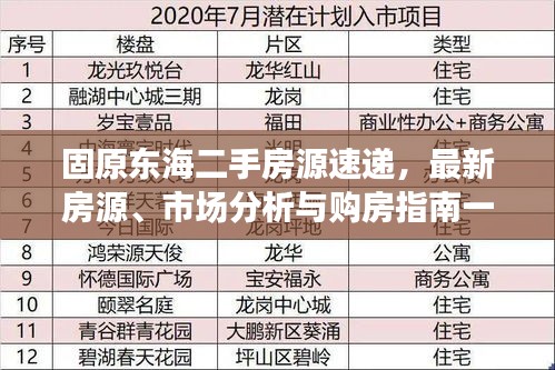 固原东海二手房源速递，最新房源、市场分析与购房指南一网打尽