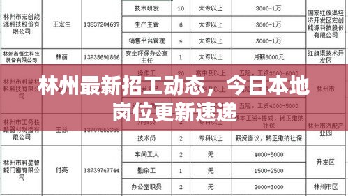 林州最新招工动态，今日本地岗位更新速递