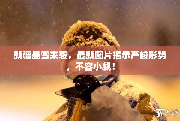 新疆暴雪来袭，最新图片揭示严峻形势，不容小觑！