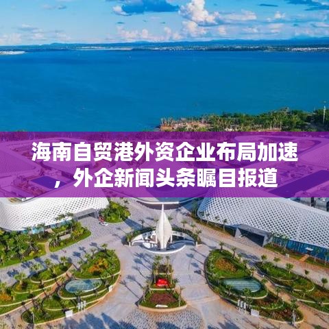 海南自贸港外资企业布局加速，外企新闻头条瞩目报道