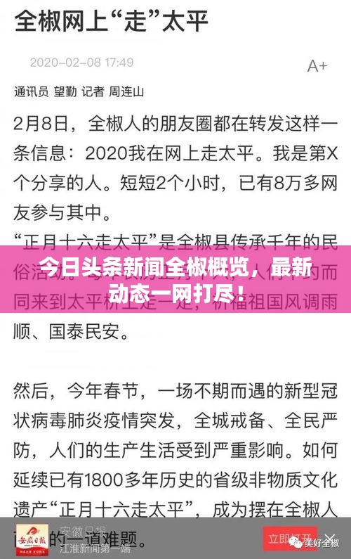 今日头条新闻全椒概览，最新动态一网打尽！