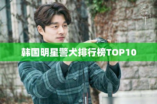 韩国明星警犬排行榜TOP10