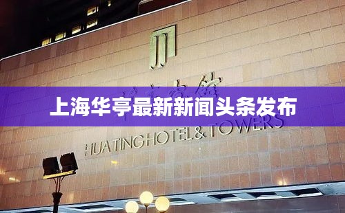 上海华亭最新新闻头条发布