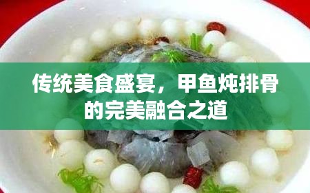 传统美食盛宴，甲鱼炖排骨的完美融合之道