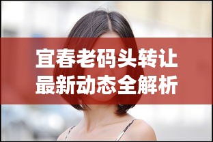 宜春老码头转让最新动态全解析