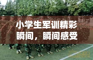 小学生军训精彩瞬间，瞬间感受军训魅力！图片全收录