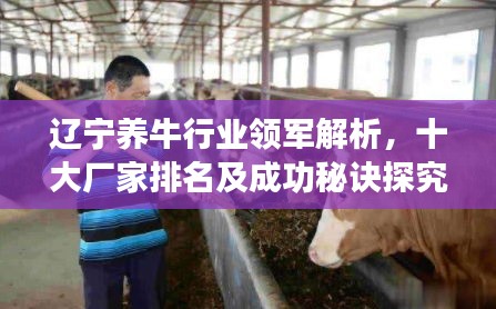 辽宁养牛行业领军解析，十大厂家排名及成功秘诀探究