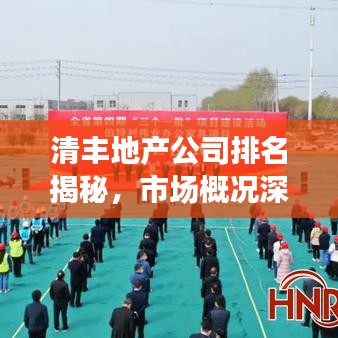 清丰地产公司排名揭秘，市场概况深度剖析