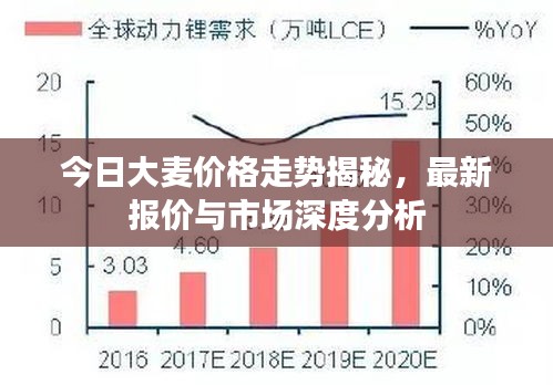 今日大麦价格走势揭秘，最新报价与市场深度分析