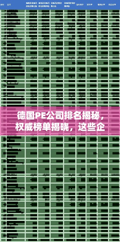 德国PE公司排名揭秘，权威榜单揭晓，这些企业独占鳌头！