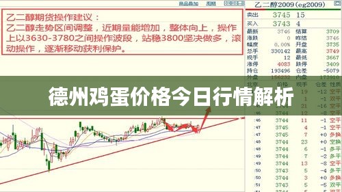 德州鸡蛋价格今日行情解析