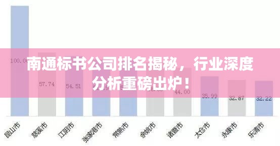 南通标书公司排名揭秘，行业深度分析重磅出炉！