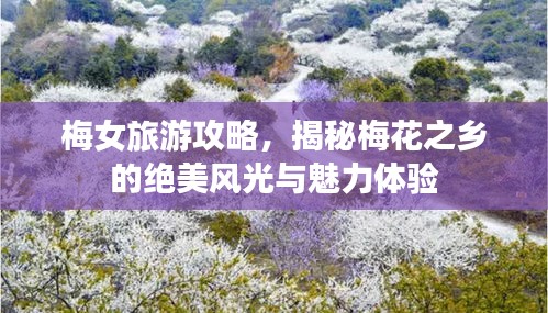 梅女旅游攻略，揭秘梅花之乡的绝美风光与魅力体验