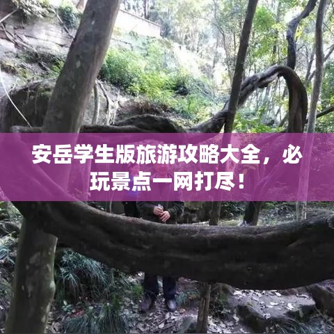 安岳学生版旅游攻略大全，必玩景点一网打尽！