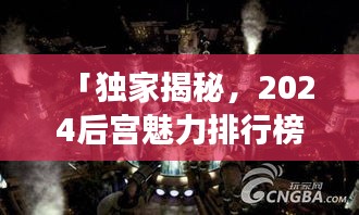 「独家揭秘，2024后宫魅力排行榜TOP10，谁将荣登宝座？」