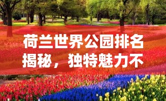 荷兰世界公园排名揭秘，独特魅力不容错过