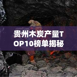 贵州木炭产量TOP10榜单揭秘，探秘贵州木炭产业领军地位