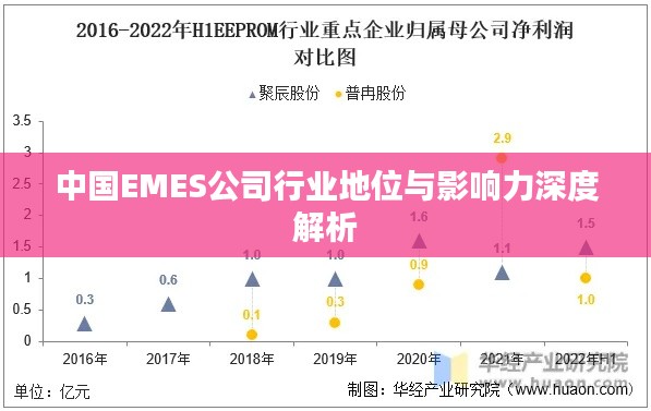 中国EMES公司行业地位与影响力深度解析