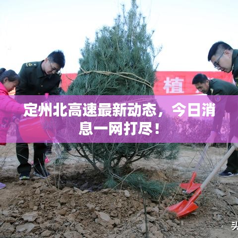 定州北高速最新动态，今日消息一网打尽！