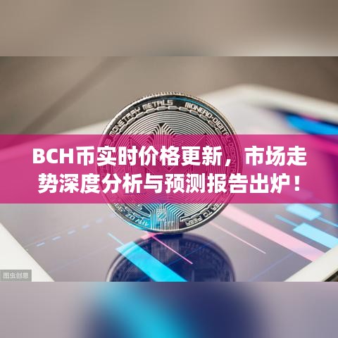 BCH币实时价格更新，市场走势深度分析与预测报告出炉！