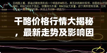 干酪价格行情大揭秘，最新走势及影响因素全解析