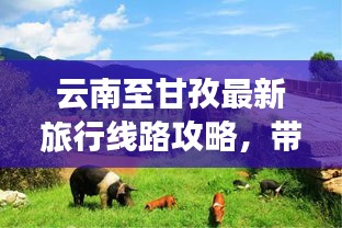 云南至甘孜最新旅行线路攻略，带你畅游秘境之旅