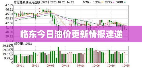 临东今日油价更新情报速递