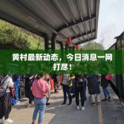 黄村最新动态，今日消息一网打尽！