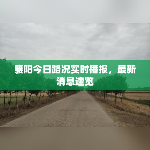 襄阳今日路况实时播报，最新消息速览