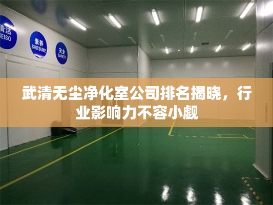 武清无尘净化室公司排名揭晓，行业影响力不容小觑