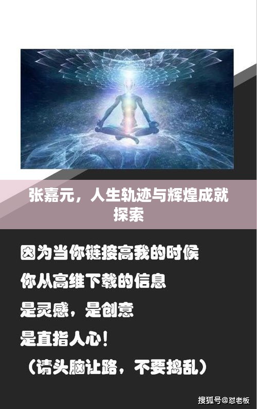 张嘉元，人生轨迹与辉煌成就探索