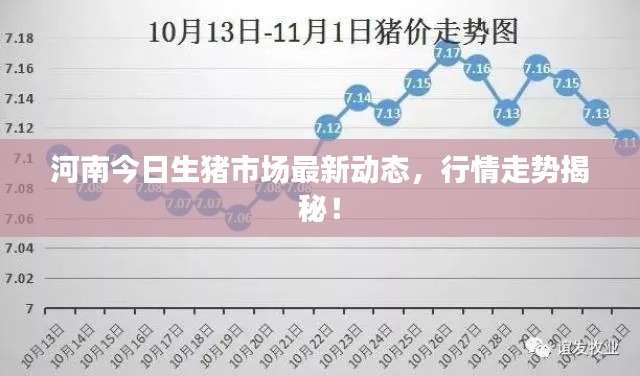 河南今日生猪市场最新动态，行情走势揭秘！