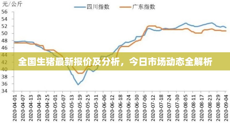 全国生猪最新报价及分析，今日市场动态全解析