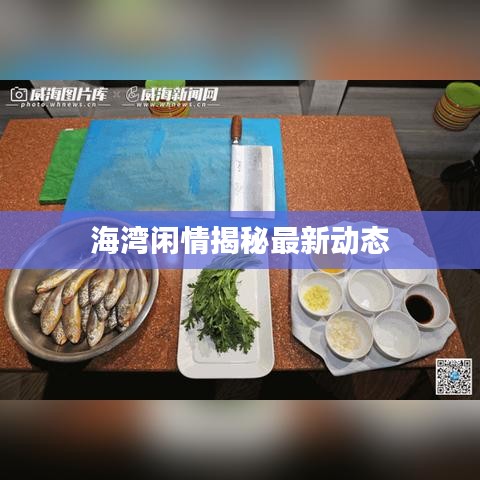 海湾闲情揭秘最新动态