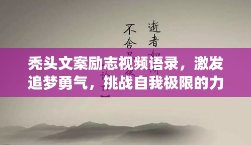 秃头文案励志视频语录，激发追梦勇气，挑战自我极限的力量之源