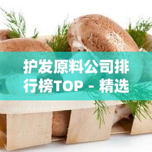 护发原料公司排行榜TOP - 精选优质护发原料供应商