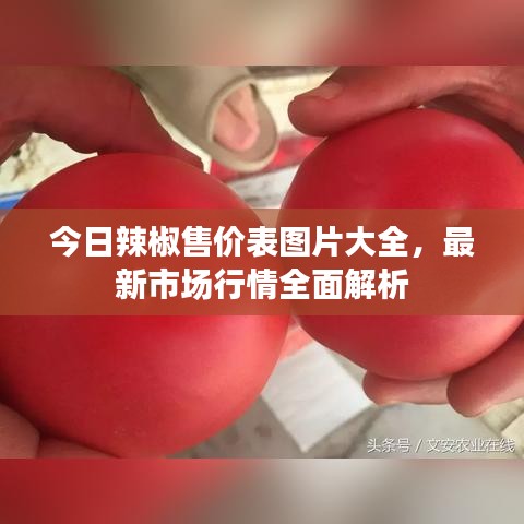 今日辣椒售价表图片大全，最新市场行情全面解析