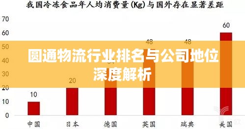 圆通物流行业排名与公司地位深度解析