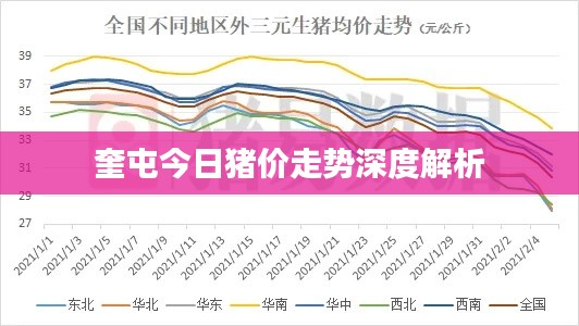 奎屯今日猪价走势深度解析