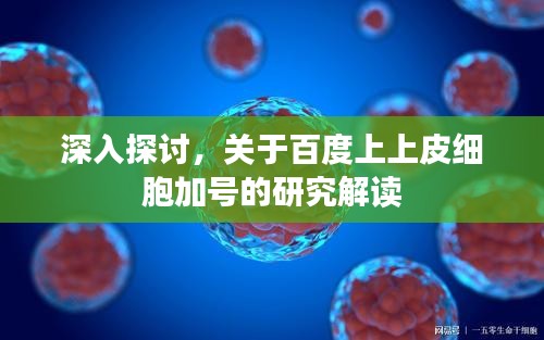 深入探讨，关于百度上上皮细胞加号的研究解读