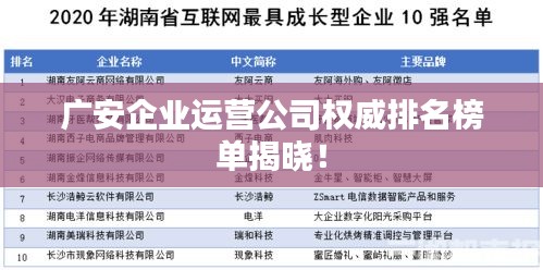 广安企业运营公司权威排名榜单揭晓！